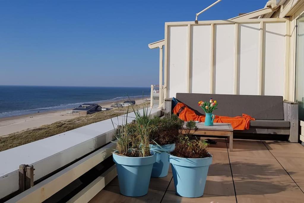 Kraaiennest Lejlighed Egmond aan Zee Eksteriør billede