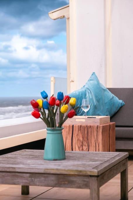 Kraaiennest Lejlighed Egmond aan Zee Eksteriør billede