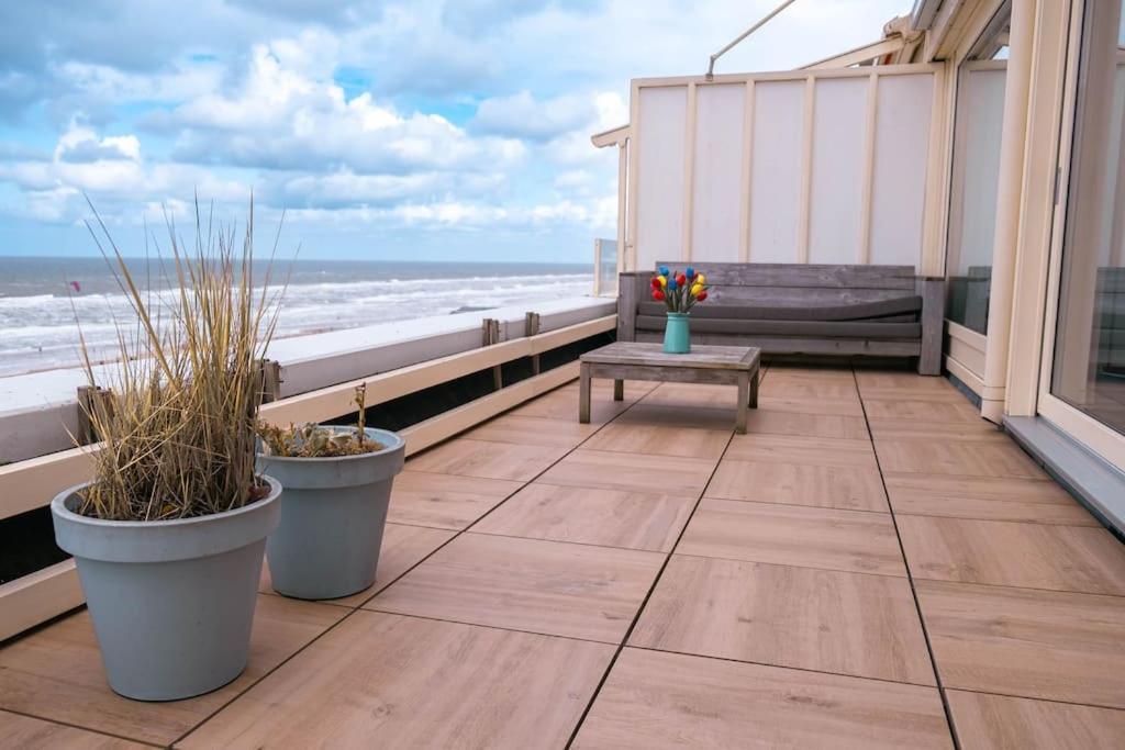 Kraaiennest Lejlighed Egmond aan Zee Eksteriør billede
