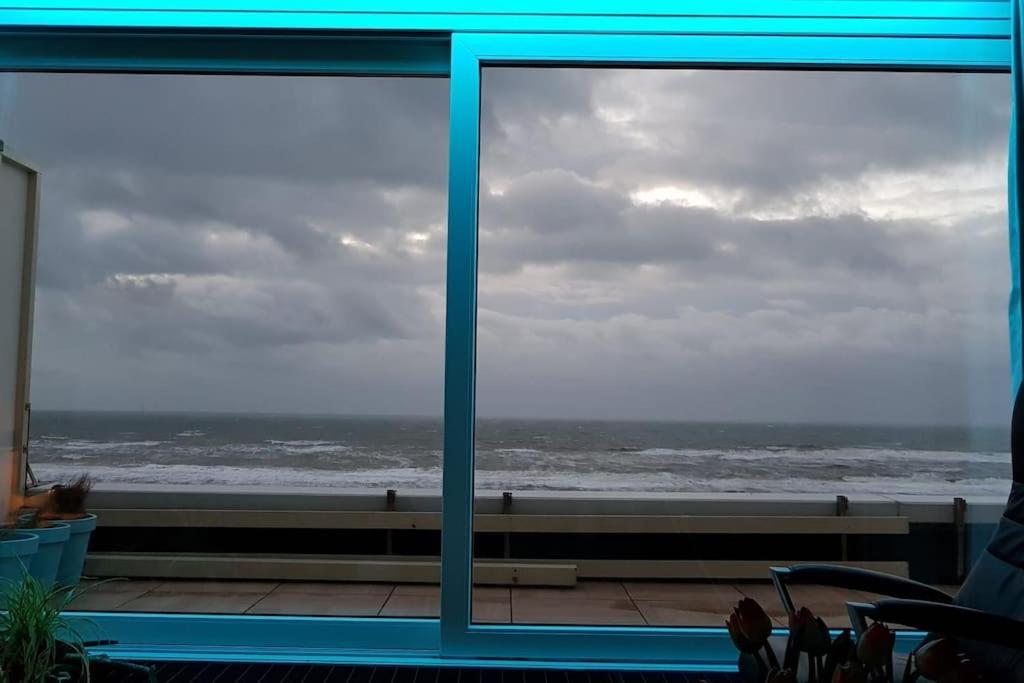 Kraaiennest Lejlighed Egmond aan Zee Eksteriør billede