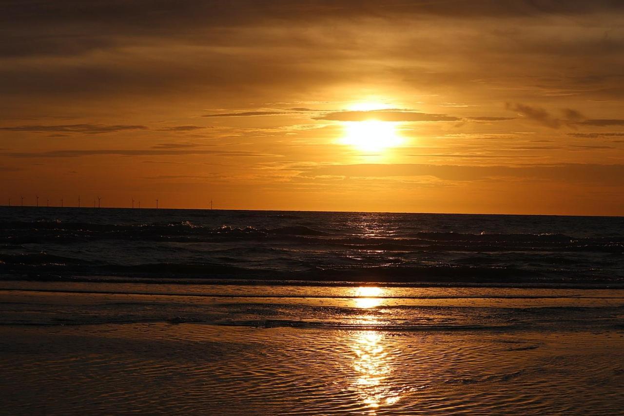 Kraaiennest Lejlighed Egmond aan Zee Eksteriør billede