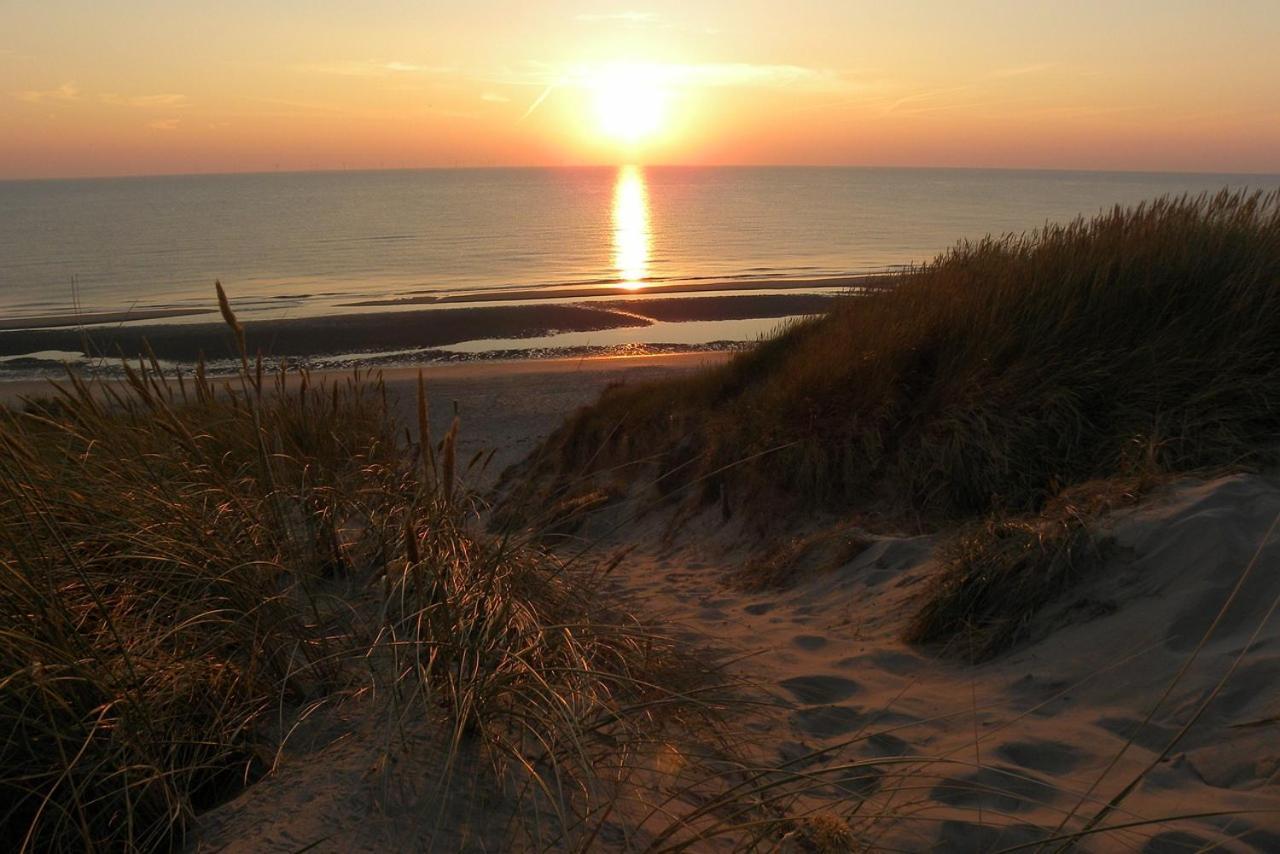 Kraaiennest Lejlighed Egmond aan Zee Eksteriør billede
