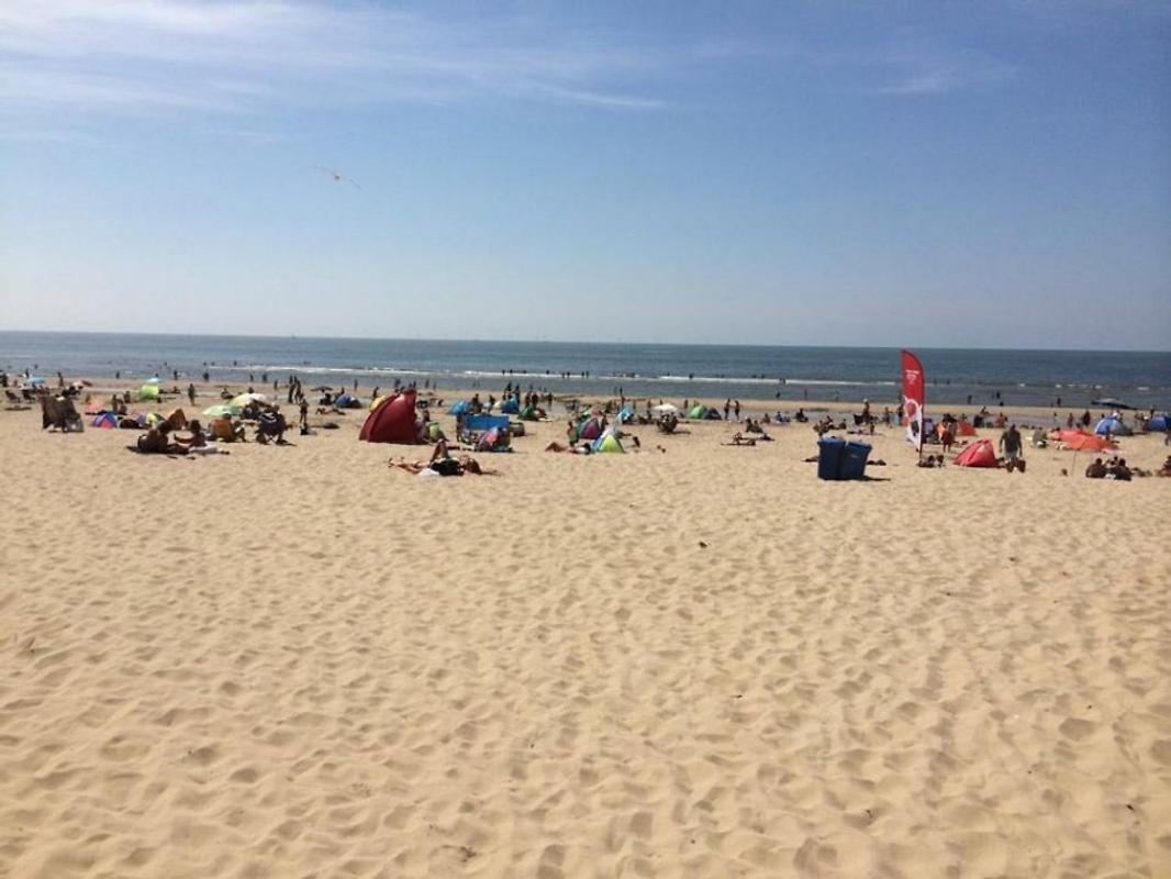 Kraaiennest Lejlighed Egmond aan Zee Eksteriør billede